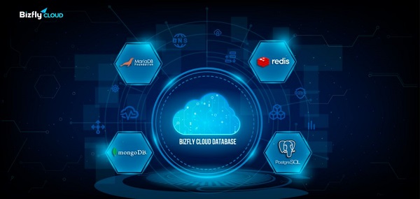Bizfly Cloud Database – A pioneering cloud database for disaster prevention
