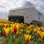 AI robot helps detect diseased tulips