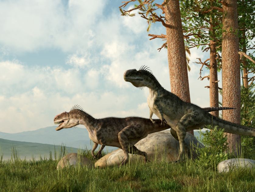 New discoveries about Dinosaurs startle everyone