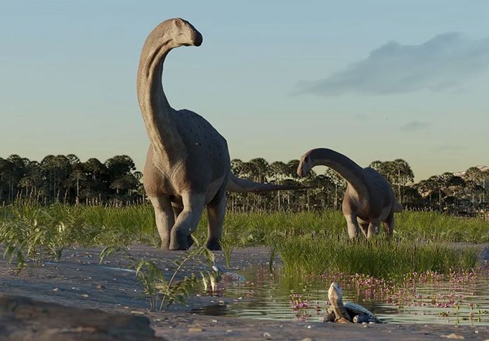 New giant dinosaur fossils discovered in Argentina