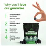Premium Himalayan Shilajit Gummies: The Natural Boost Your Body Needs