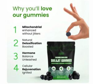 Premium Himalayan Shilajit Gummies: The Natural Boost Your Body Needs