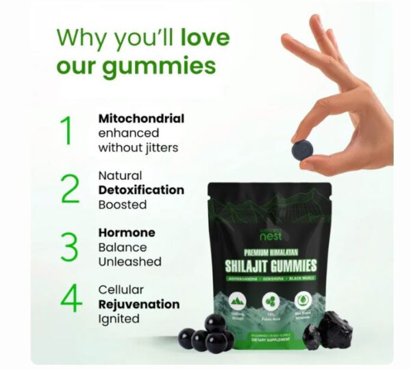 Premium Himalayan Shilajit Gummies: The Natural Boost Your Body Needs
